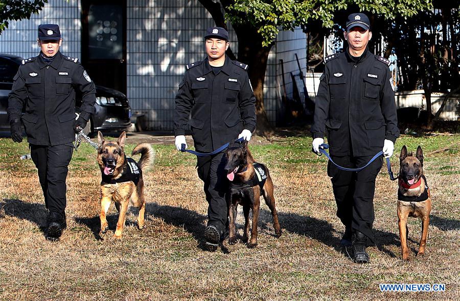 CHINA-SHANGHAI-POLICEDOG TRAINING (CN)