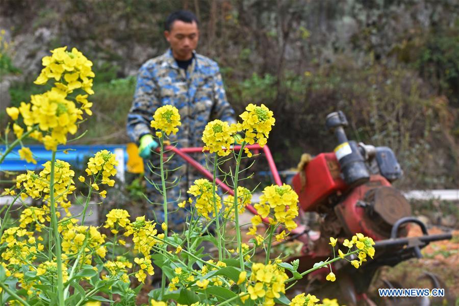 #CHINA-JINGZHE-FARM WORK (CN) 