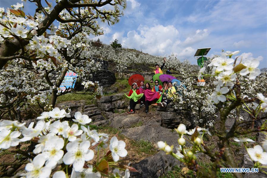 #CHINA-SPRING-FLOWERS(CN)