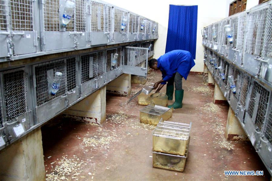 TANZANIA-MOROGORO-RATS-DEMINING