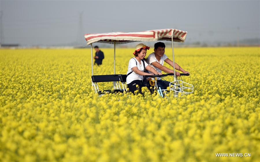 CHINA-HEBEI-SHIJIAZHUANG-SCENERY (CN)