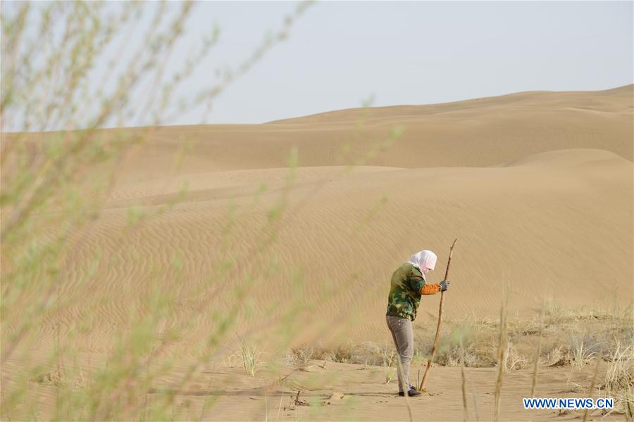 CHINA-INNER MONGOLIA-KUBUQI DESERT-WORKERS (CN)