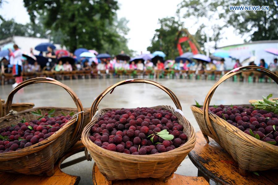 #CHINA-GUIZHOU-WAXBERRY-FESTIVAL (CN)