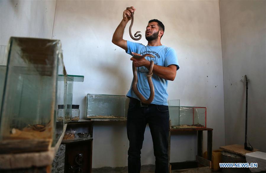 MIDEAST-GAZA-BEIT LAHIYA-SNAKE RAISER