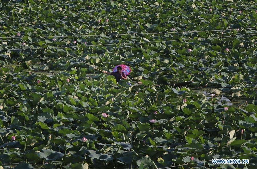 INDIA-SRINAGAR-DAILY LIFE