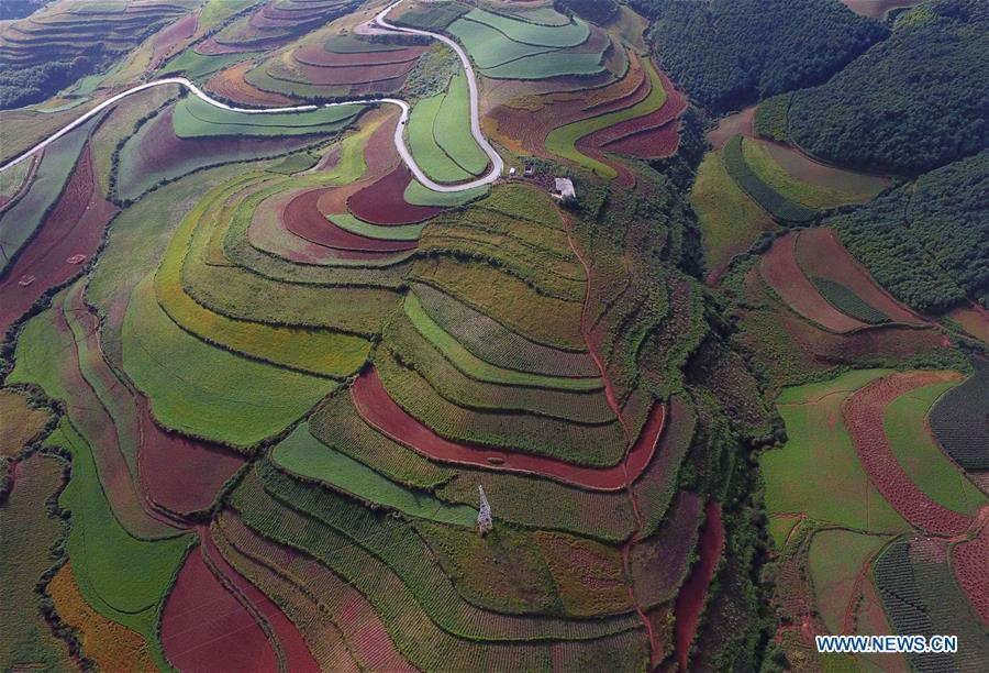 CHINA-YUNNAN-DONGCHUAN RED LAND-SCENERY (CN)