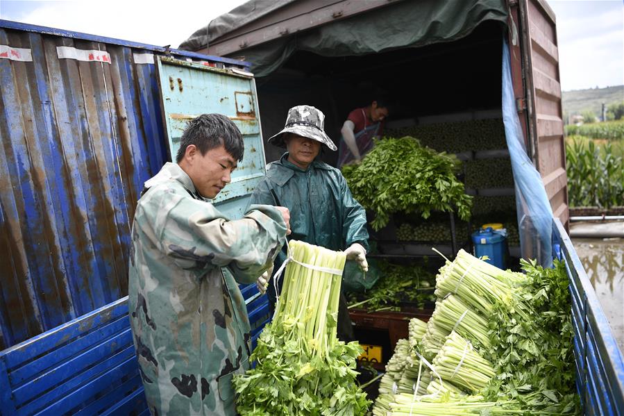 Xinhua Headlines: Poverty on the wane in uninhabitable Xihaigu