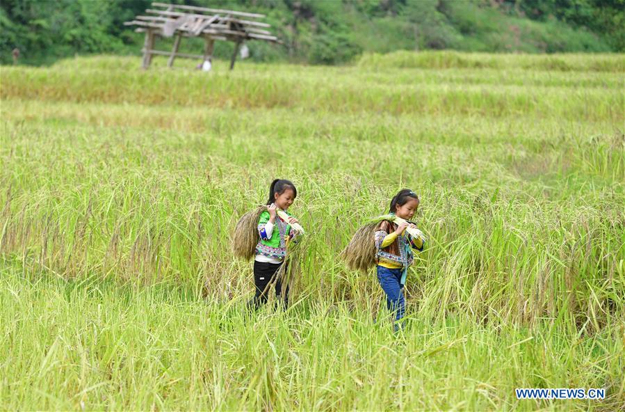 CHINA-GUANGXI-RONGSHUI-POVERTY ALLEVIATION (CN)