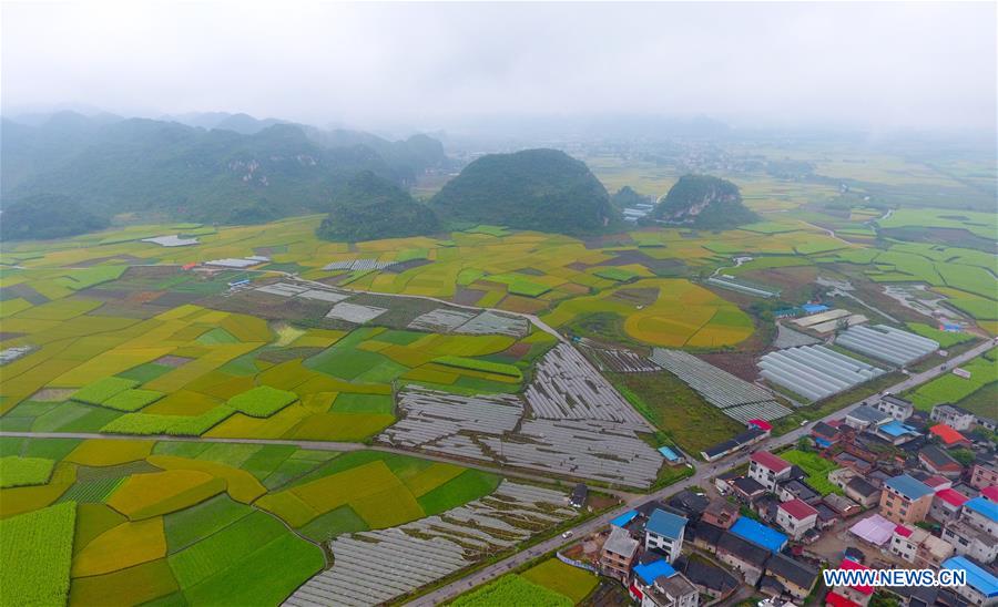 CHINA-GUANGXI-LIUZHOU-AUTUMN-SCENERY (CN)