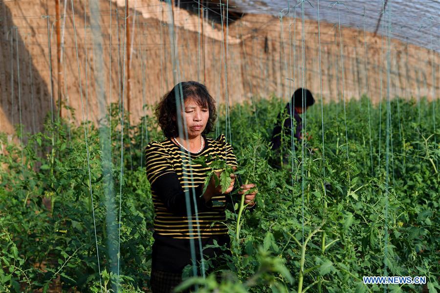 CHINA-SHANXI-POVERTY ALLEVIATION (CN)