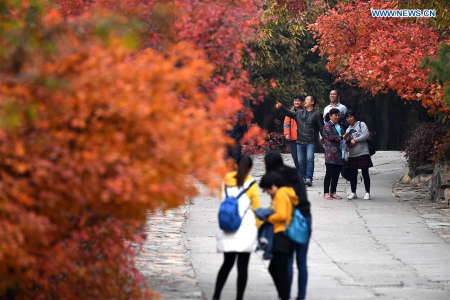 CHINA-BEIJING-BADACHU-AUTUMN SCENERY(CN)