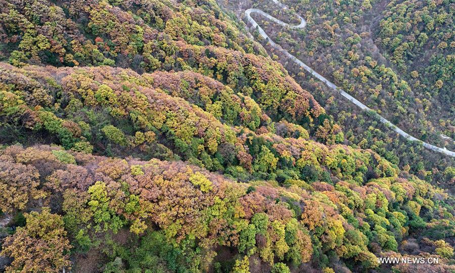 CHINA-XI'AN-QINLING MOUNTAINS(CN)