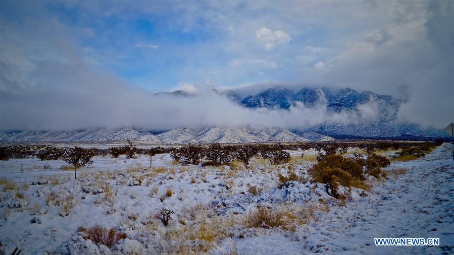 U.S.-NEW MEXICO-ALBUQUERQUE-BLIZZARD