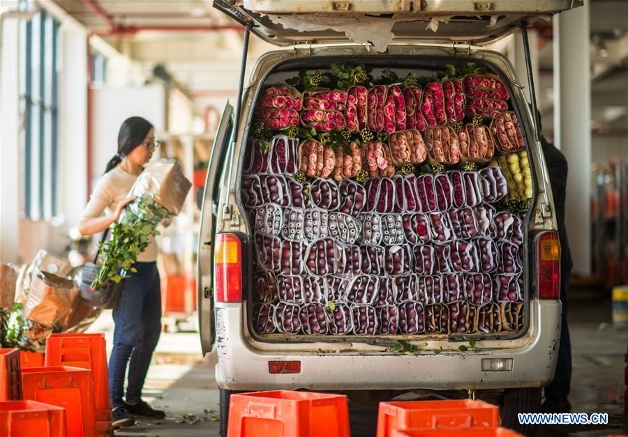 CHINA-YUNNAN-THAILAND-BANGKOK-FLOWER TRADE