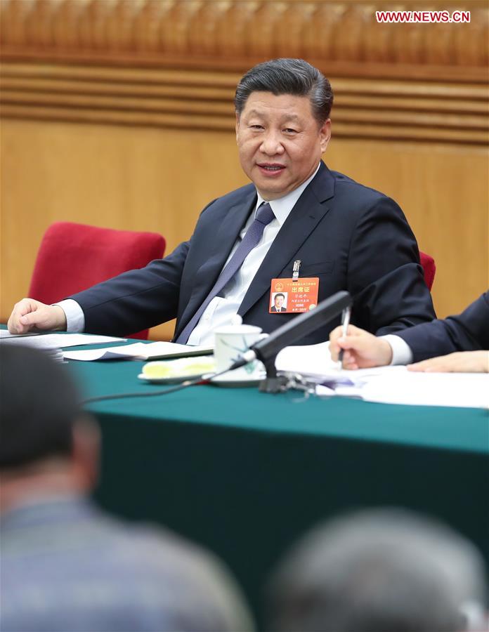 (TWO SESSIONS)CHINA-BEIJING-XI JINPING-NPC-PANEL DISCUSSION (CN)