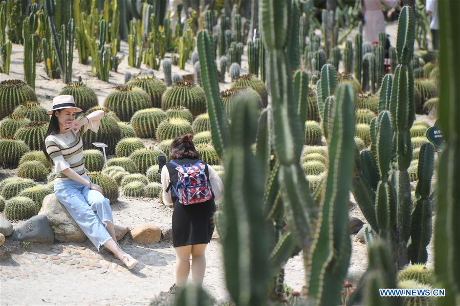 #CHINA-FUJIAN-XIAMEN-SUCCULENT PLANTS (CN)