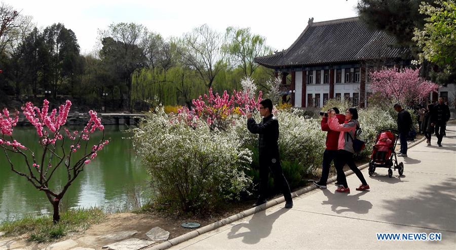 (Beijingcandid)CHINA-BEIJING-SPRING-PEOPLE (CN)