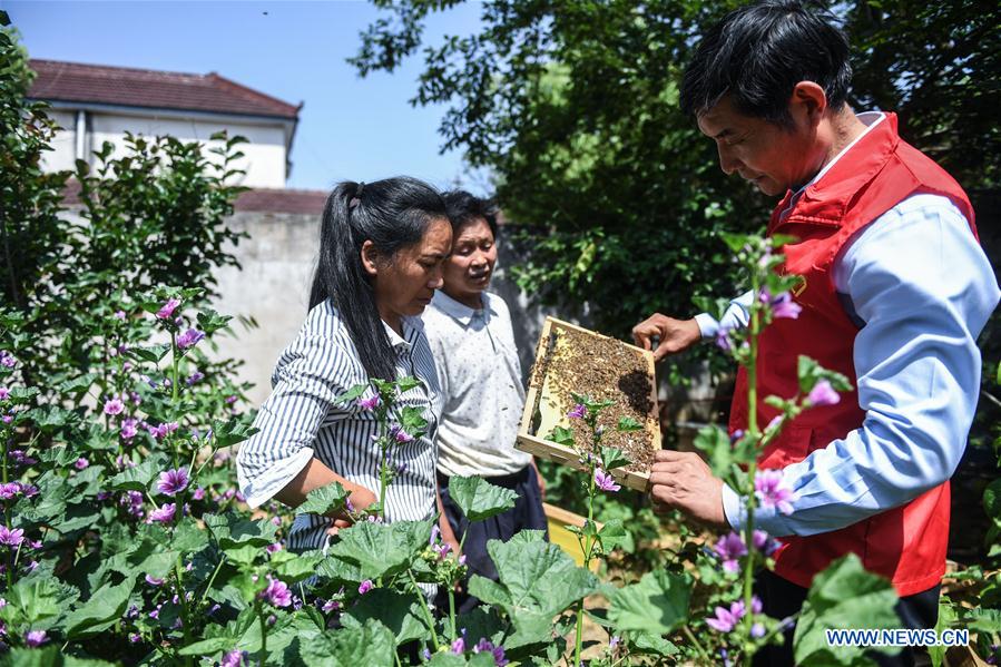 CHINA-ZHEJIANG-RURAL SUPPORT (CN)