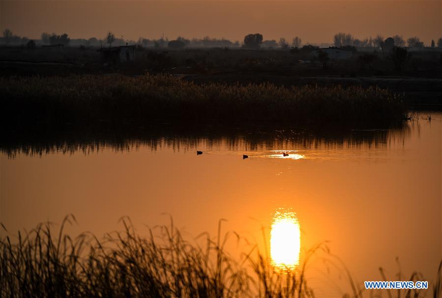 CHINA-INNER MONGOLIA-HOHHOT-HASUHAI WETLAND-AUTUMN SCENERY (CN)