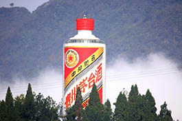 Chinese liquor brand Moutai sees fast growth along Belt and Road