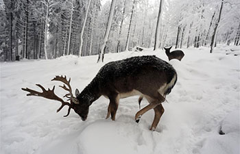 Snow hits Croatia