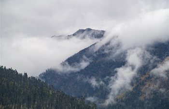 Scenery at Lulang Township in Nyingchi City, southwest China's Tibet