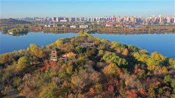 Early winter scenery of Nanhu scenic spot in N China's Hebei