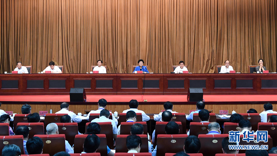 6月25日，全国民族团结进步创建经验交流现场会在内蒙古兴安盟召开，中共中央政治局委员、国务院副总理刘延东出席会议并讲话。 新华社记者 陈晔华 摄