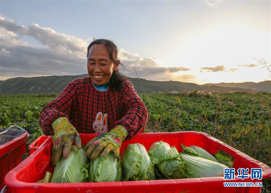 （新华全媒头条·决战决胜脱贫攻坚·督战未摘帽贫困县·图文互动）（1）不获全胜，决不收兵——全国52个挂牌督战贫困县脱贫攻坚纪实