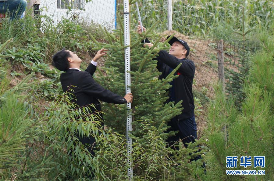 （决战决胜脱贫攻坚·图文互动）（2）甘肃定西黄土高坡上，有片“福州林”