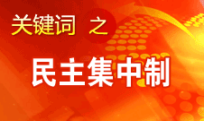 王京清：贯彻民主集中制是我们党最大的制度优势